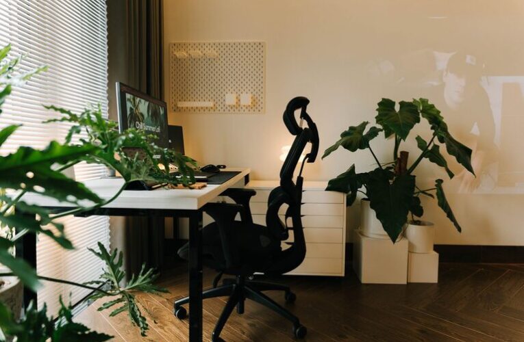 Tips for Creating a Cozy and Productive Home Office Space