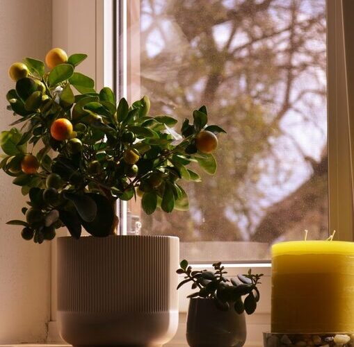 Simple Decor Tips to Create a Relaxing Home Environment